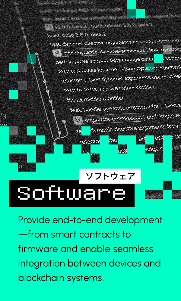 Software Development